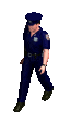 policie